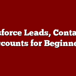 Salesforce Leads, Contacts & Accounts for Beginners