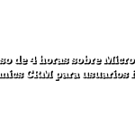 Curso de 4 horas sobre Microsoft Dynamics CRM para usuarios finales