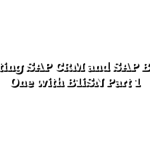 Integrating SAP CRM and SAP Business One with B1iSN Part 1