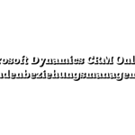 Microsoft Dynamics CRM Online – Kundenbeziehungsmanagement