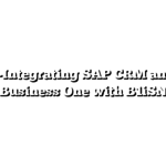 Part 3-Integrating SAP CRM and SAP Business One with B1iSN