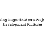 Using SugarCRM as a Project Development Platform